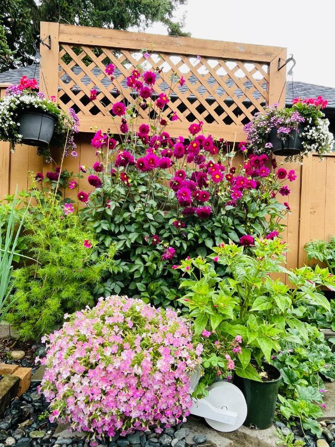 Holiday home Garden In -beautiful In *