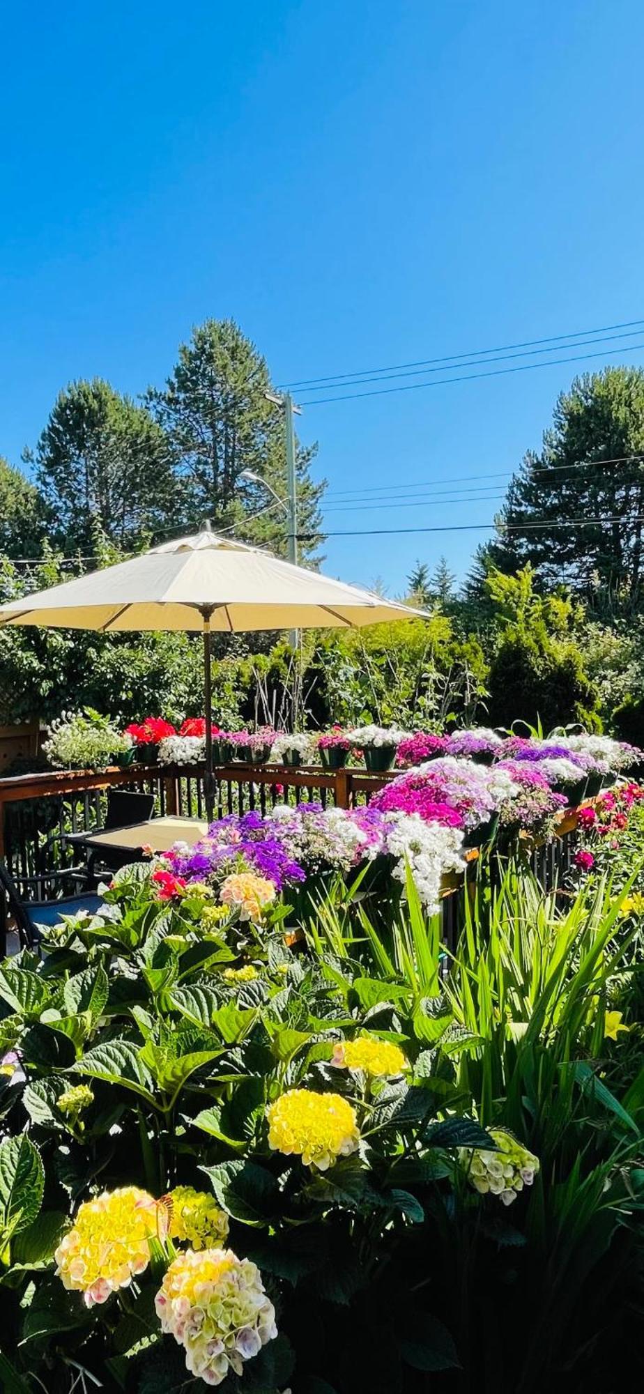 Holiday home Garden In -beautiful In *