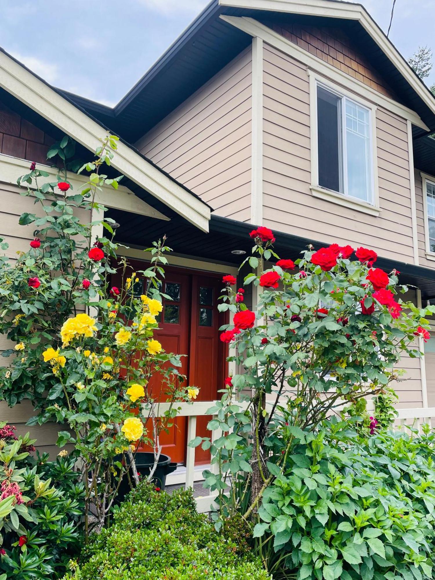 Garden In -beautiful In Holiday home *