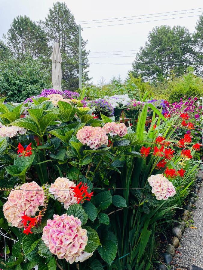 Garden In -beautiful In * Victoria