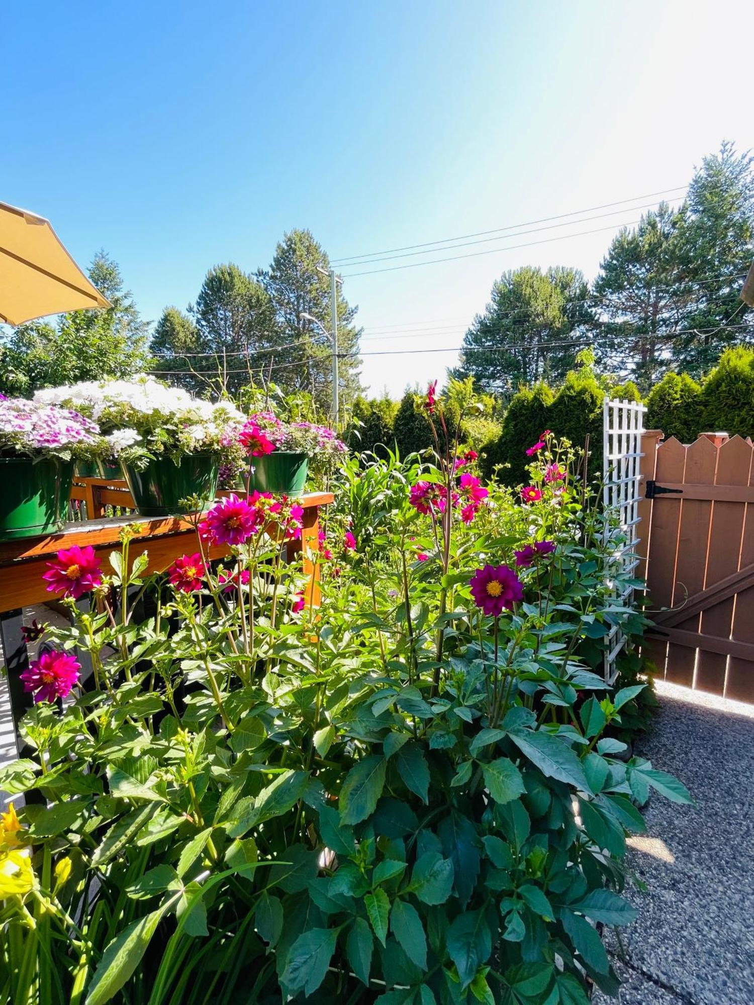 Garden In -beautiful In Victoria